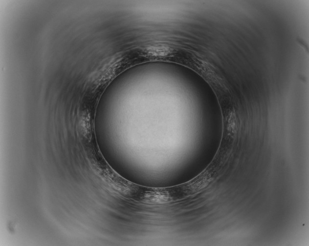 X0000101110559200806261415