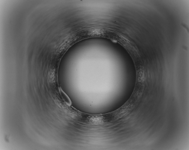 X0000101110560200806261415