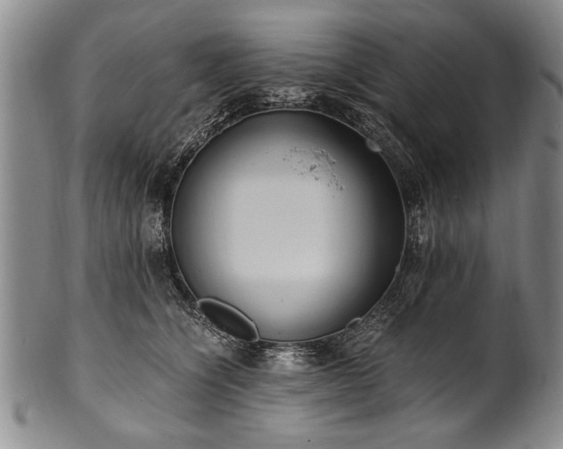 X0000101110564200806261415