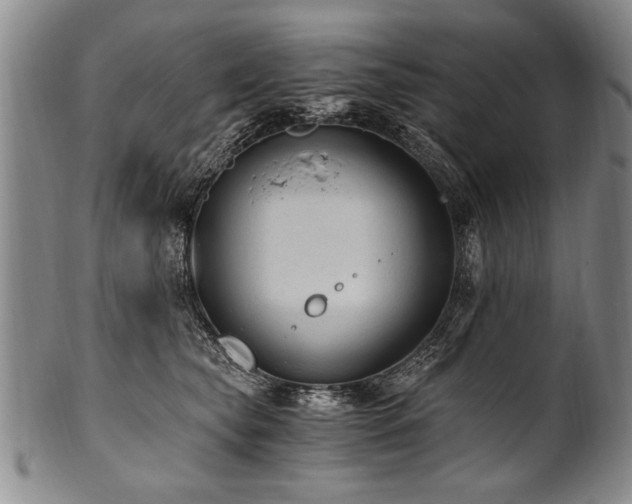X0000101110565200806261415
