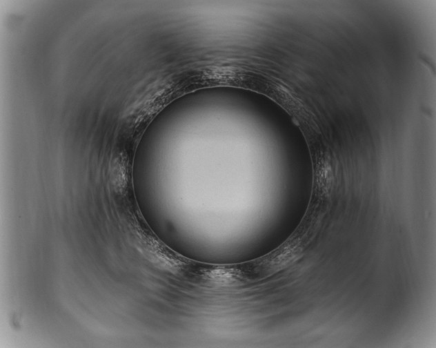 X0000101110566200806261415
