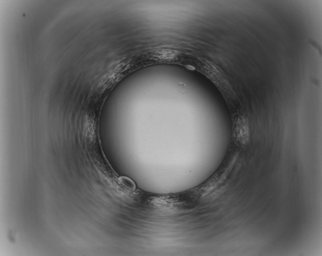X0000101110568200806261415