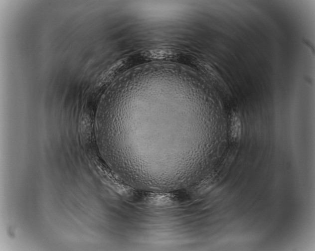 X0000101110569200806261415