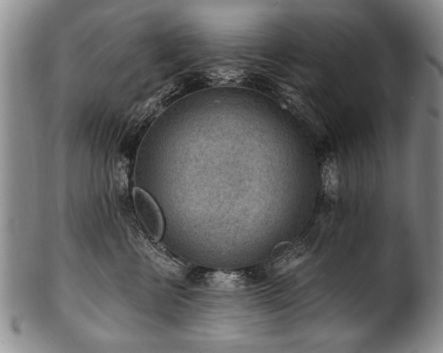X0000101110570200806261415