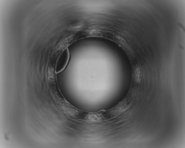 X0000101110571200806261415