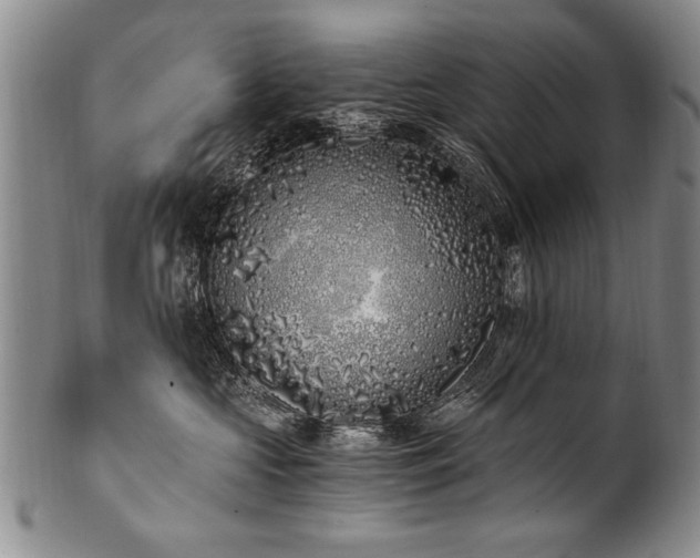 X0000101110573200806261415