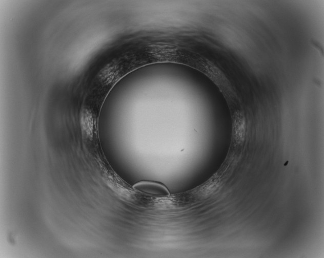 X0000101110574200806261415