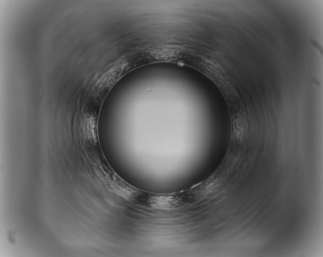 X0000101110575200806261415