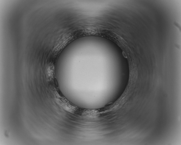 X0000101110576200806261415