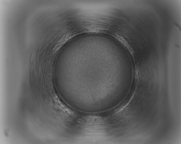 X0000101110577200806261415