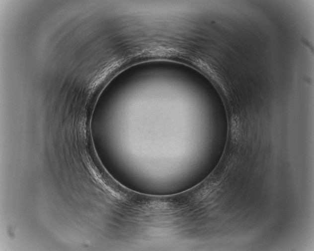 X0000101110581200806261414