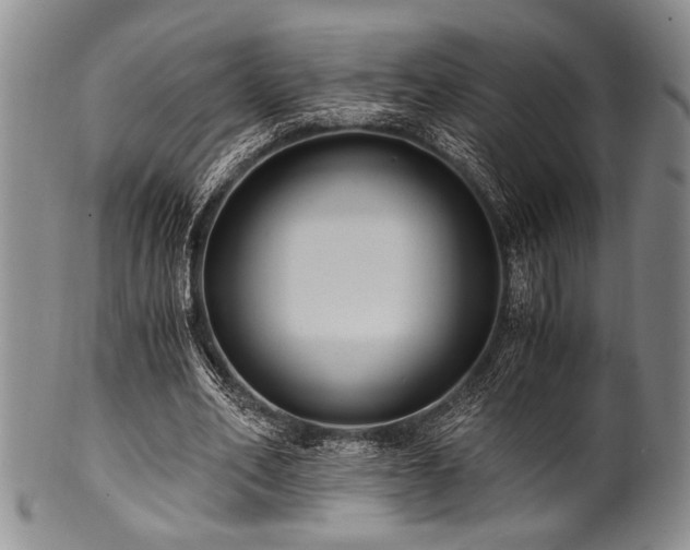 X0000101110582200806261414
