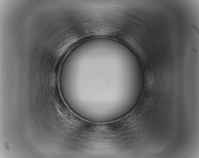 X0000101110583200806261414