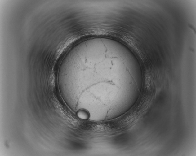 X0000101110584200806261414