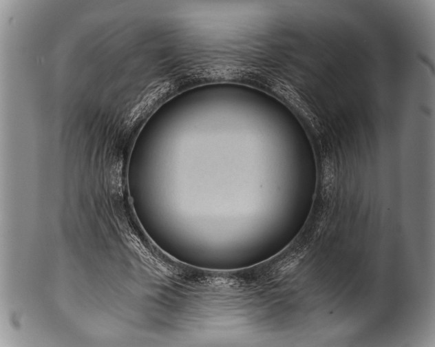 X0000101110585200806261414