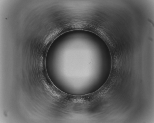 X0000101110586200806261414