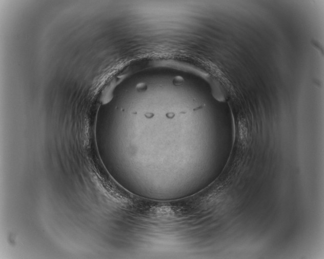 X0000101110588200806261414