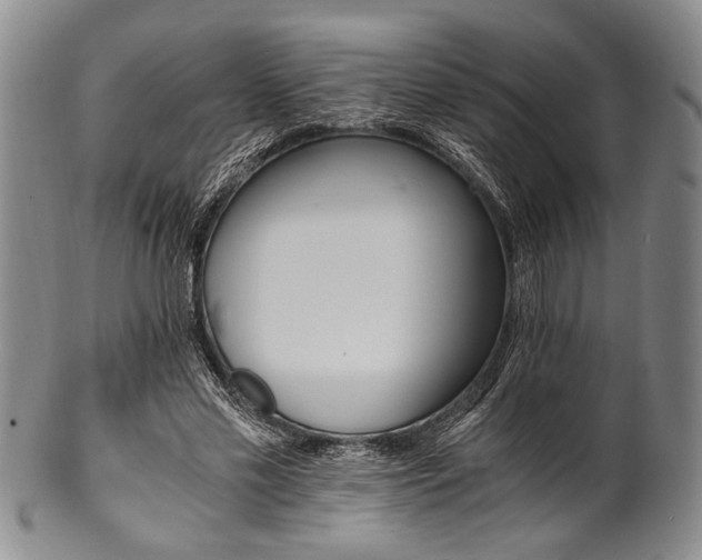 X0000101110589200806261414
