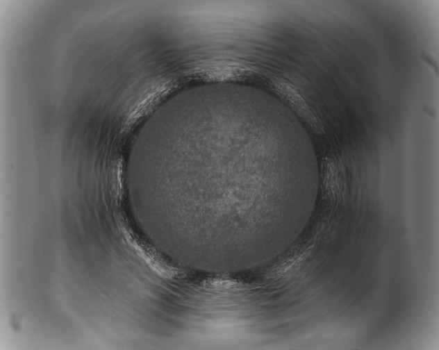 X0000101110590200806261414