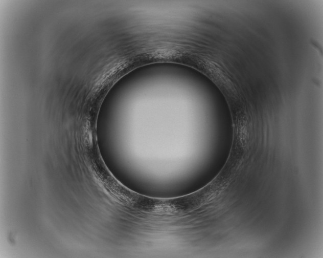 X0000101110591200806261414
