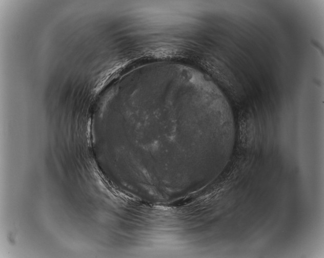 X0000101110592200806261414