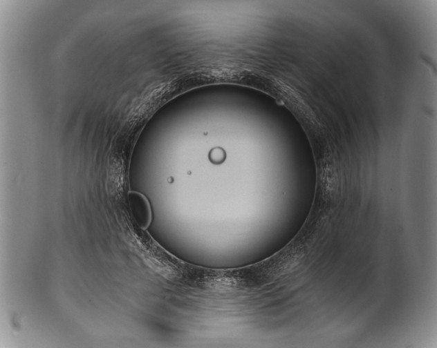 X0000101110593200806261414