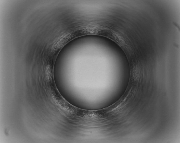 X0000101110594200806261414