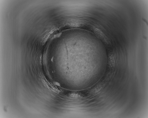 X0000101110596200806261414