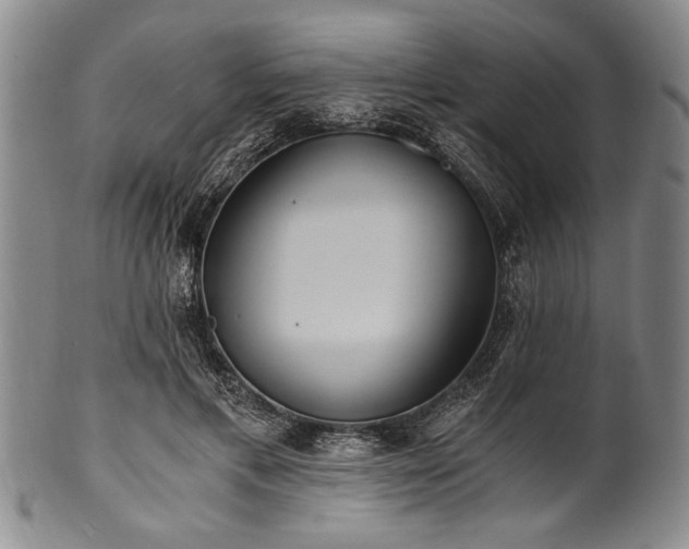 X0000101110597200806261414