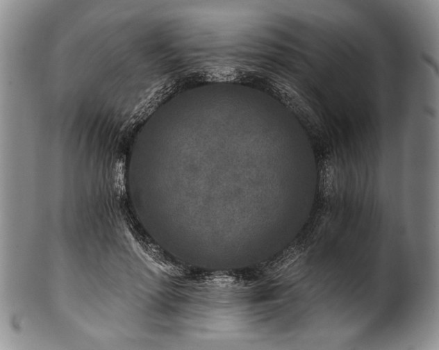 X0000101110598200806261414