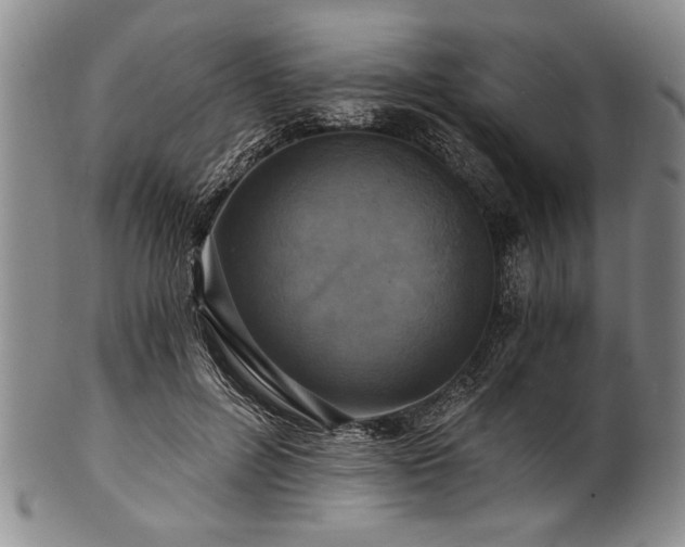 X0000101110600200806261414