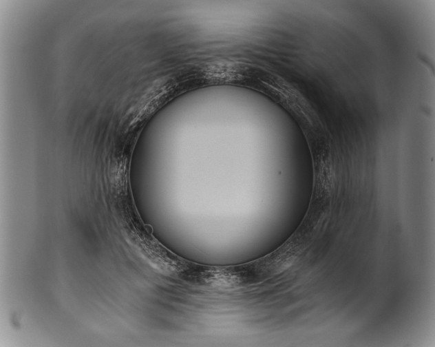 X0000101110601200806261414