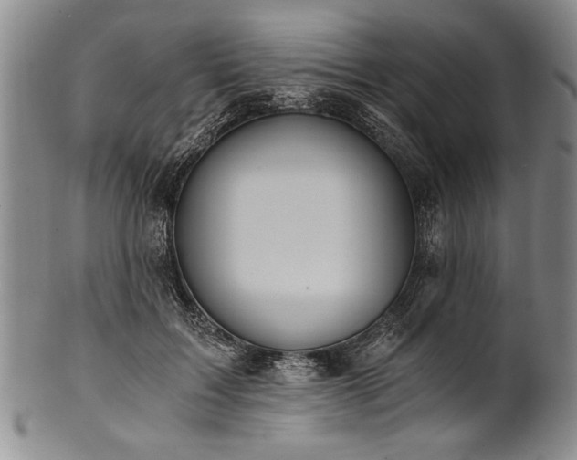 X0000101110603200806261414