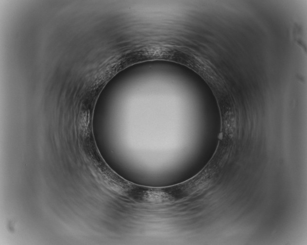 X0000101110605200806261414