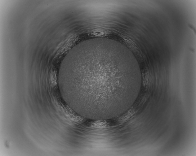 X0000101110606200806261414