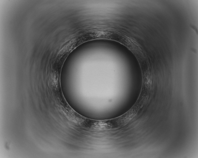 X0000101110607200806261414