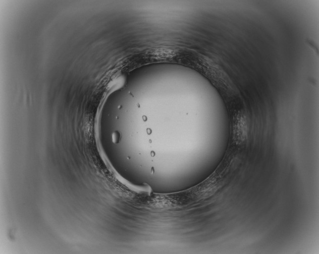 X0000101110608200806261414
