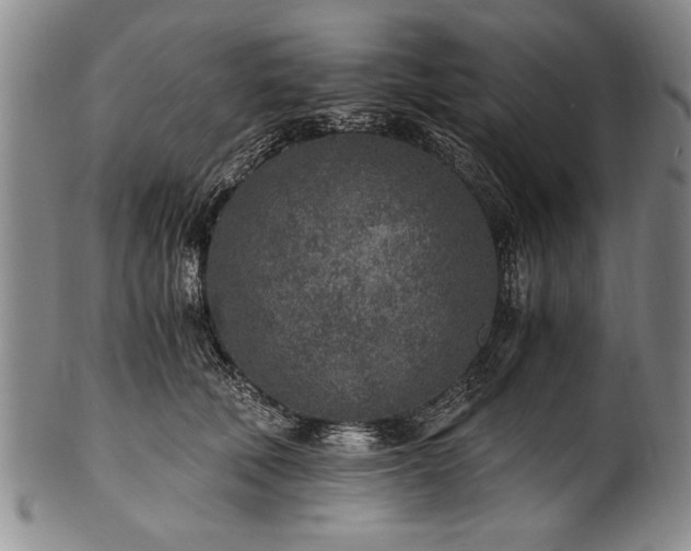 X0000101110610200806261414