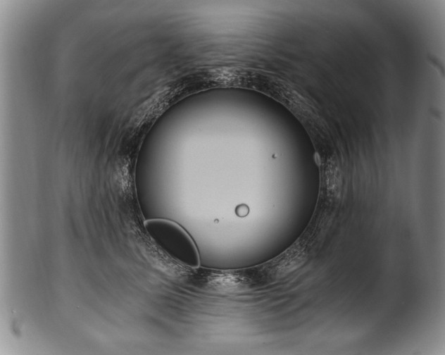 X0000101110611200806261414