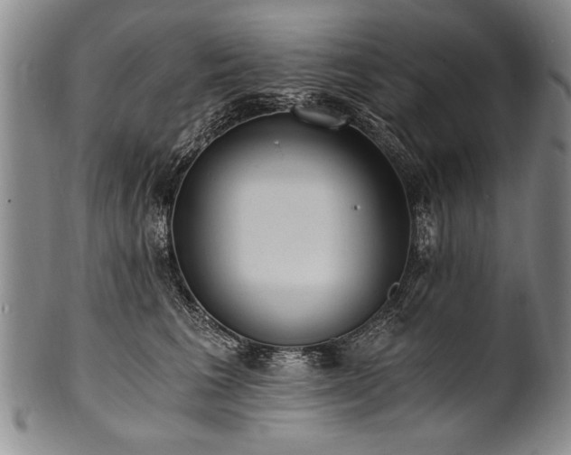 X0000101110613200806261414