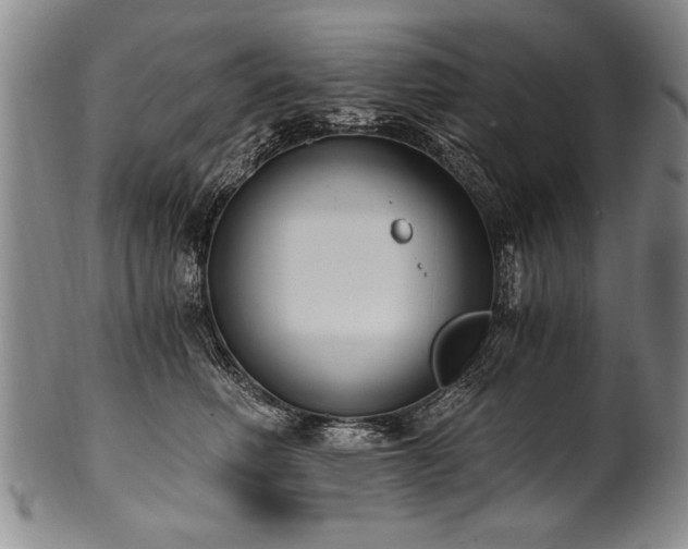 X0000101110614200806261414