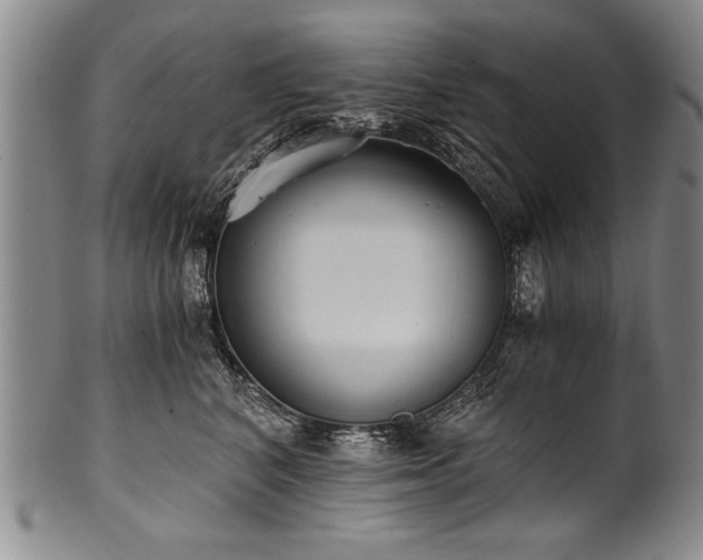 X0000101110616200806261414