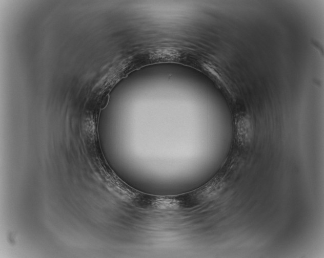 X0000101110617200806261414