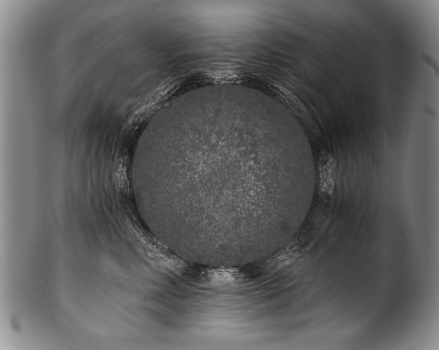 X0000101110618200806261414