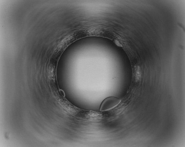 X0000101110619200806261414