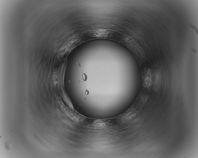 X0000101110620200806261414