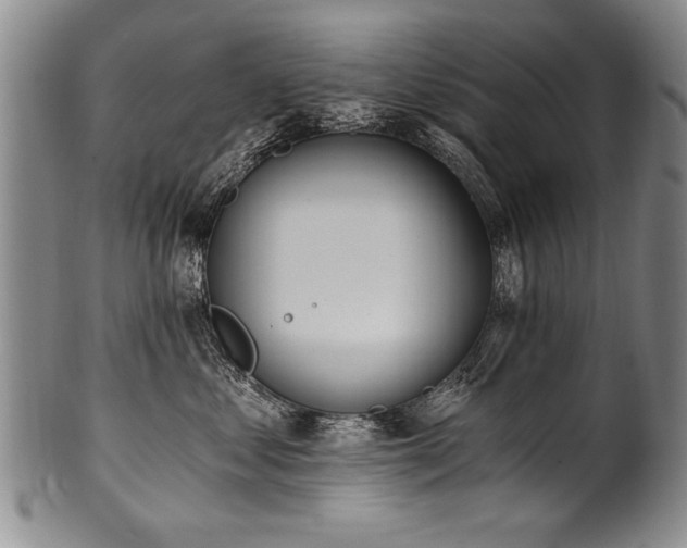 X0000101110621200806261414