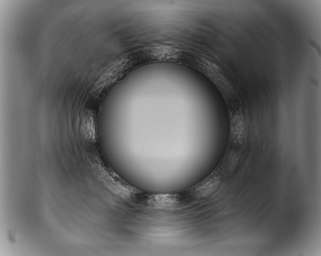 X0000101110622200806261414