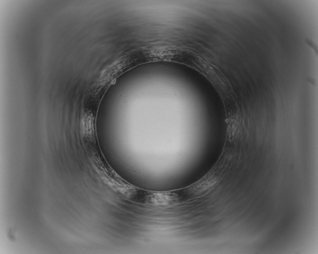 X0000101110623200806261414