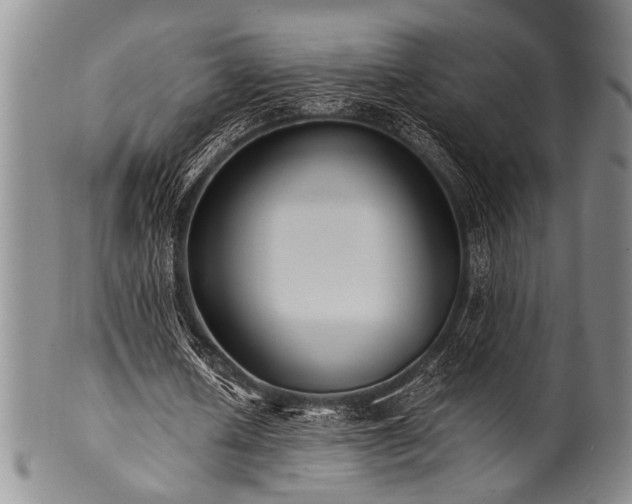 X0000101110626200806261413